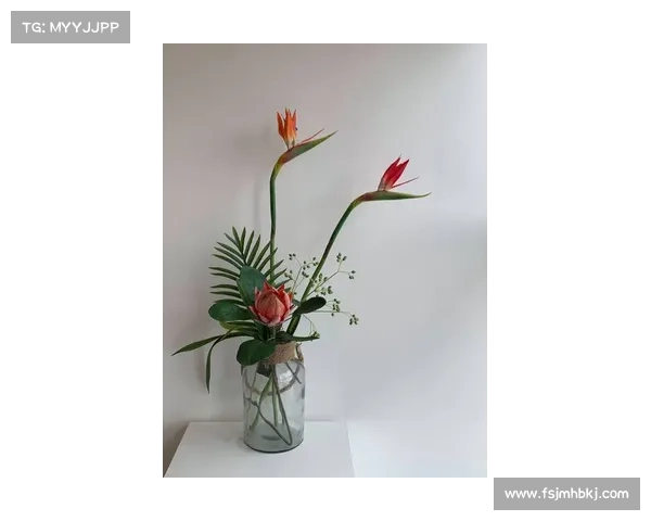 花月当空,花语寄情 花月当空,花语寄情